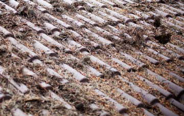 Bentworth roof cleaning companies